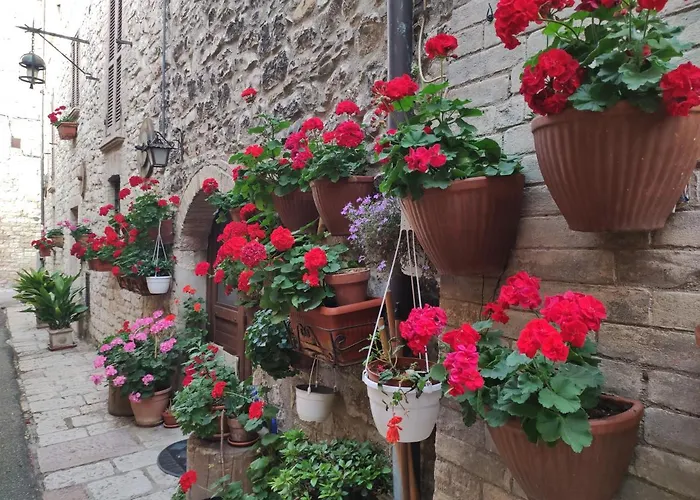 Appartamento Antica Assisi