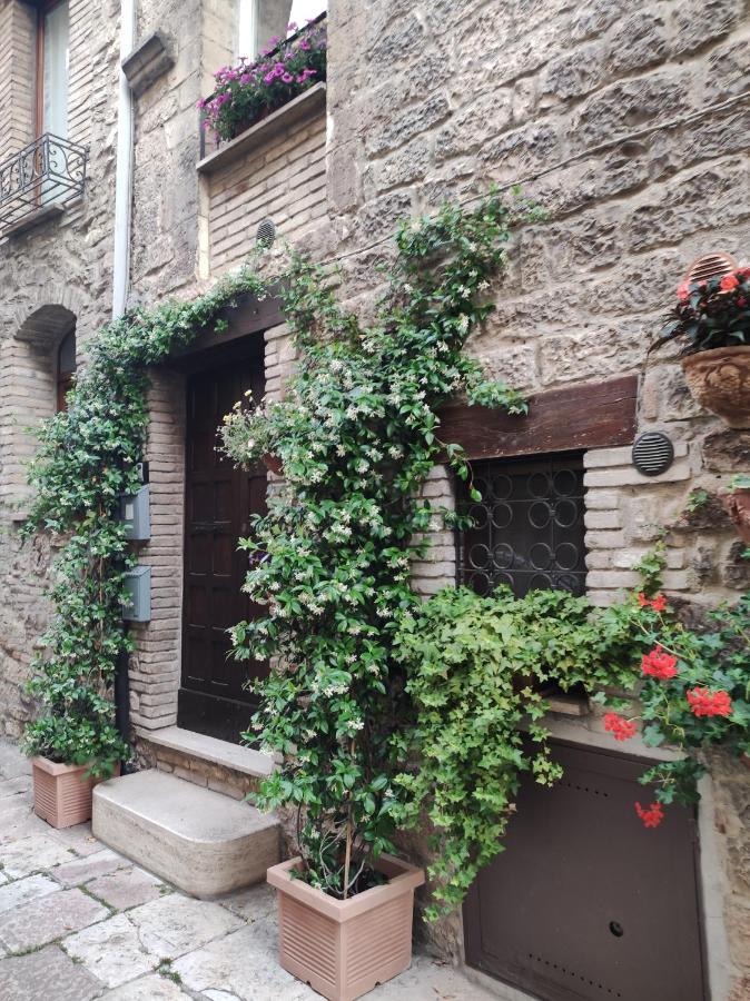 Antica Apartment Assisi