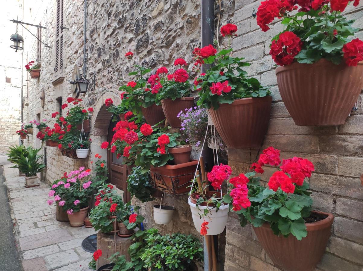 Apartment Antica *