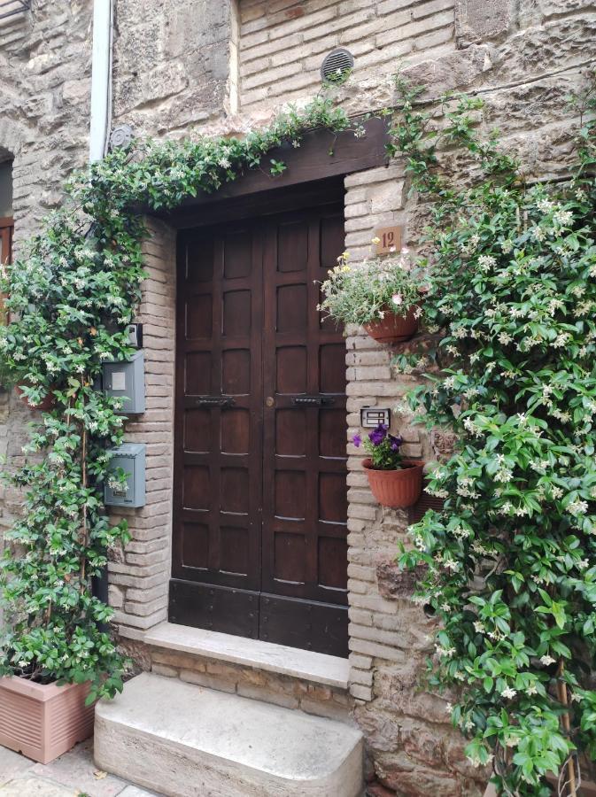 Apartment Antica